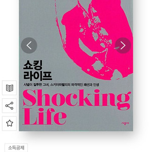 책 삽니다. 쇼킹라이프 / 김홍기 / 시공사 / 201