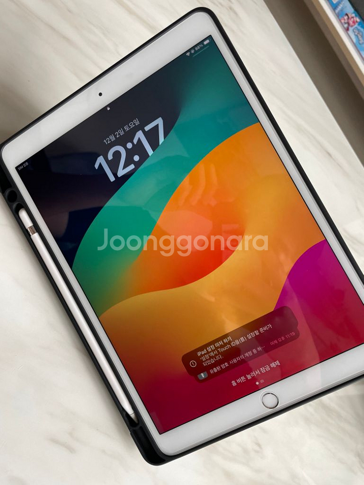 아이패드 프로 10.5 256G 셀룰러 + 애플 펜슬--0