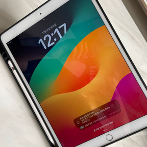 아이패드 프로 10.5 256G 셀룰러 + 애플 펜슬