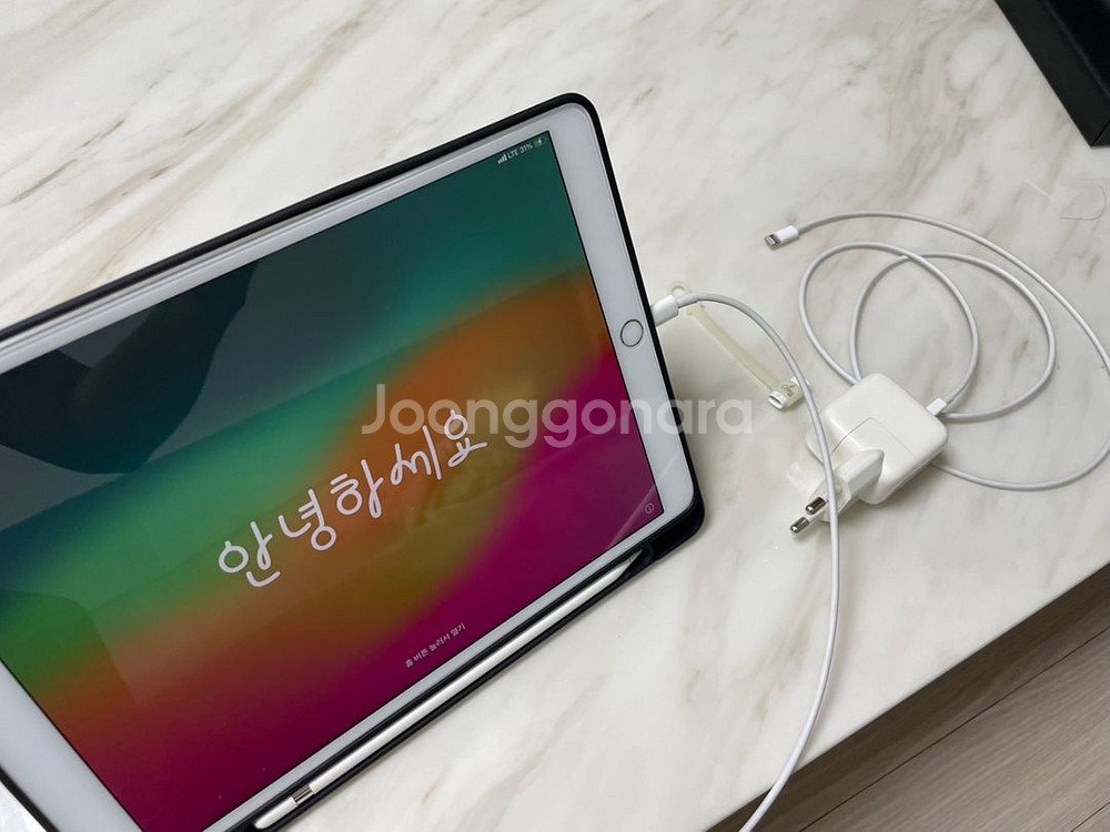 아이패드 프로 10.5 256G 셀룰러 + 애플 펜슬--1