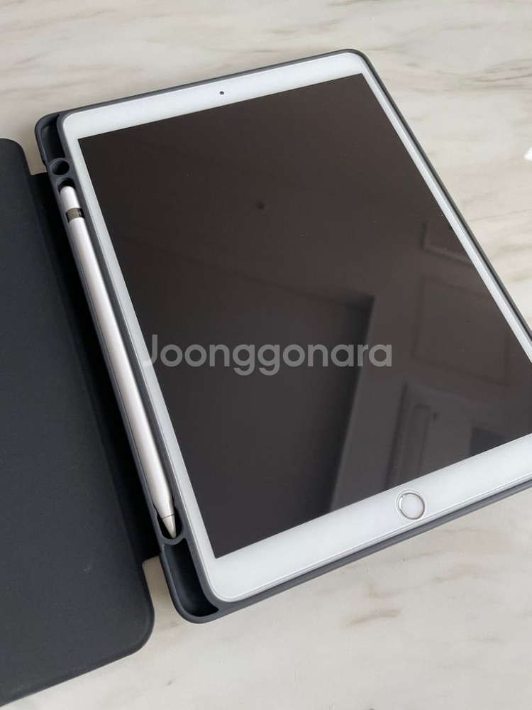 아이패드 프로 10.5 256G 셀룰러 + 애플 펜슬--2
