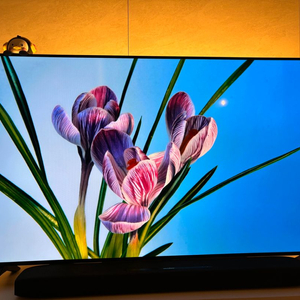 LG OLED 55인치 OLED55A1MNA