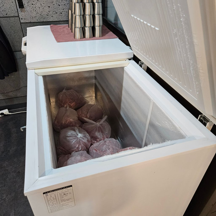 정진 초저온 참치냉동고 SBD-520 판매해요.--1