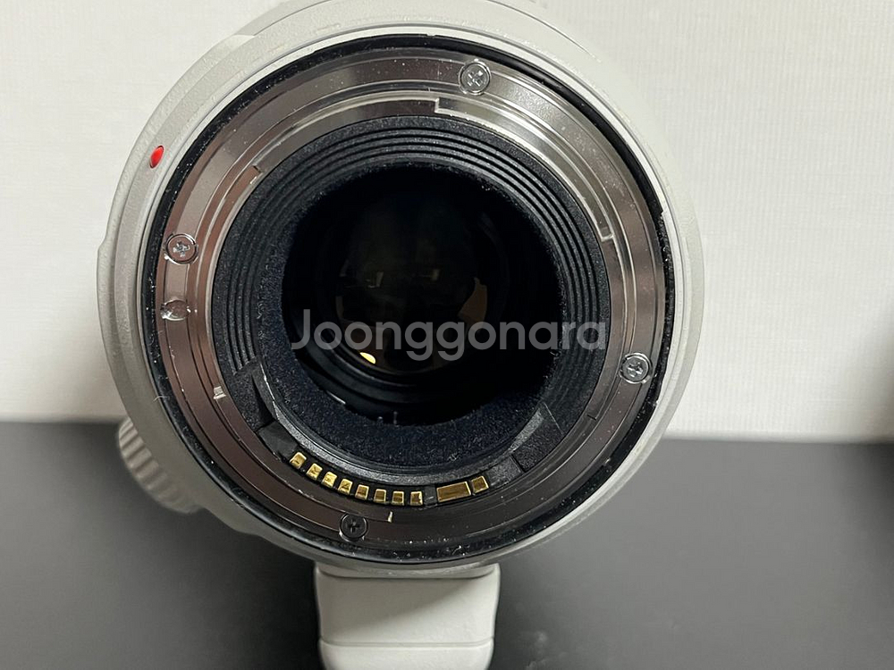 EF 100-400mm IS 2 백사투 렌즈 정리합니다--5