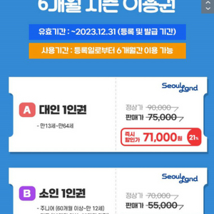 서울랜드 6개월 시즌권 대인 3장