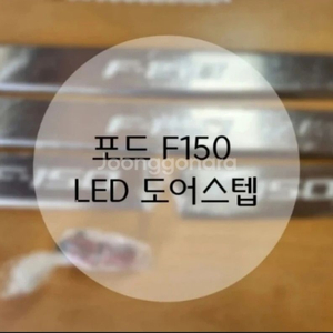 포드f150 포드F150 LED 도어스텝