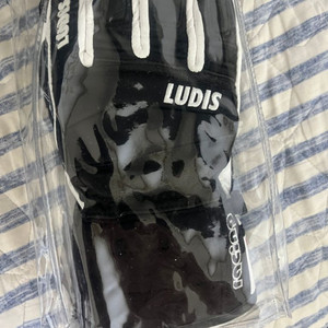 [새상품]LUDIS 스키장갑 판매합니다.(정가12만원)