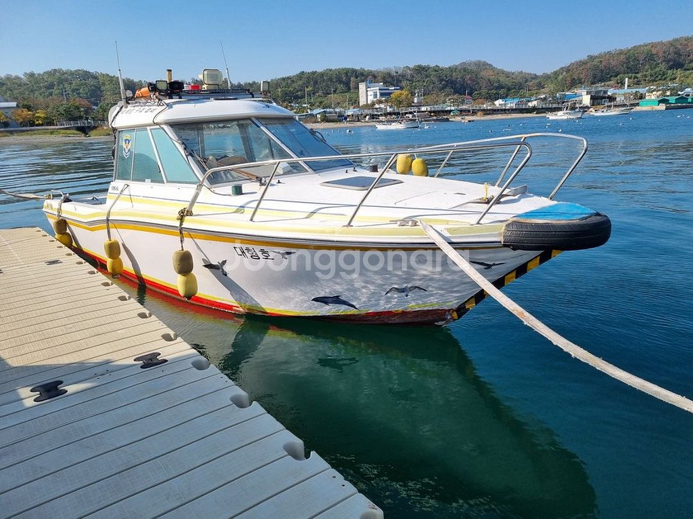 레저보트 8인승 야마하--6