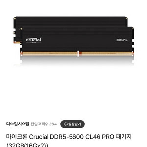 마이크론 Crucial DDR5-5600 PRO 램32