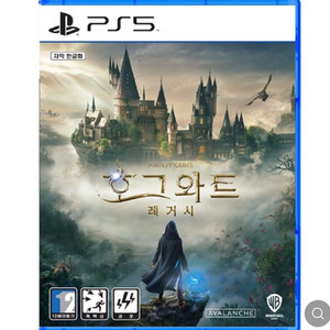 ps5 호그와트레거시 입니다