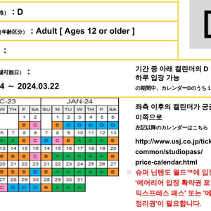 유니버셜 스튜디오 재팬 입장권 2장