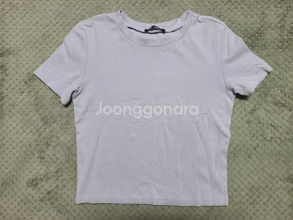 자라 크롭티--0