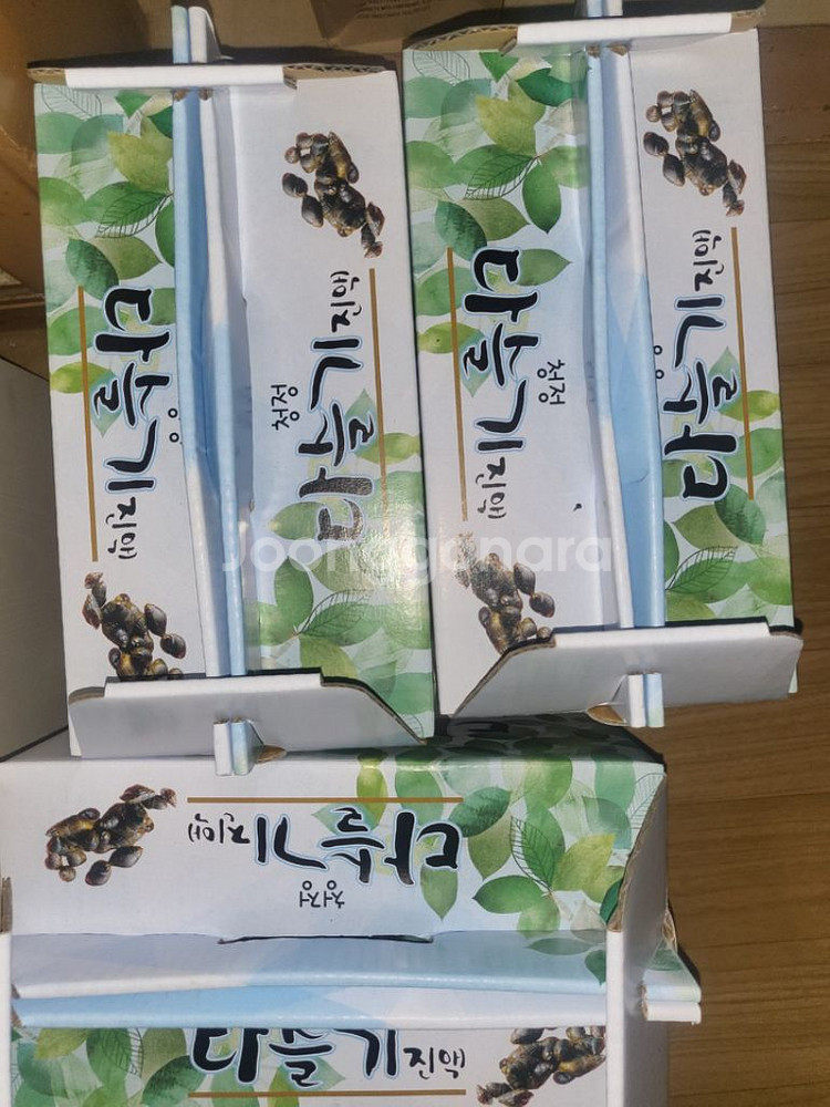 자연산괴산다슬기--2