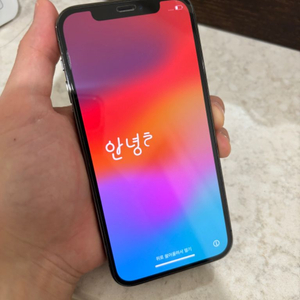 아이폰 12 pro 256 + 맥세이프 월렛