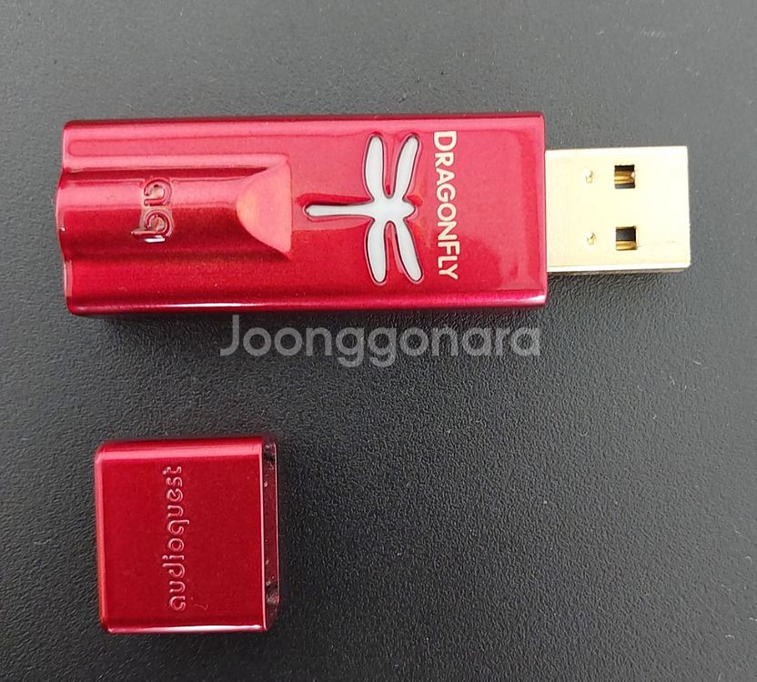 오디오퀘스트 드래곤플라이 레드--0