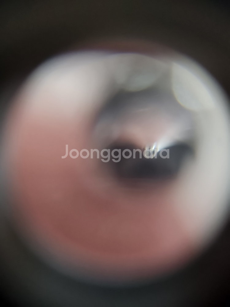 몽블랑 작가 시리즈 아서 코난 도일 만년필 LE--2