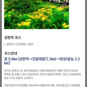 (구매희망) 12월 23일 한라산 등반티켓 4매