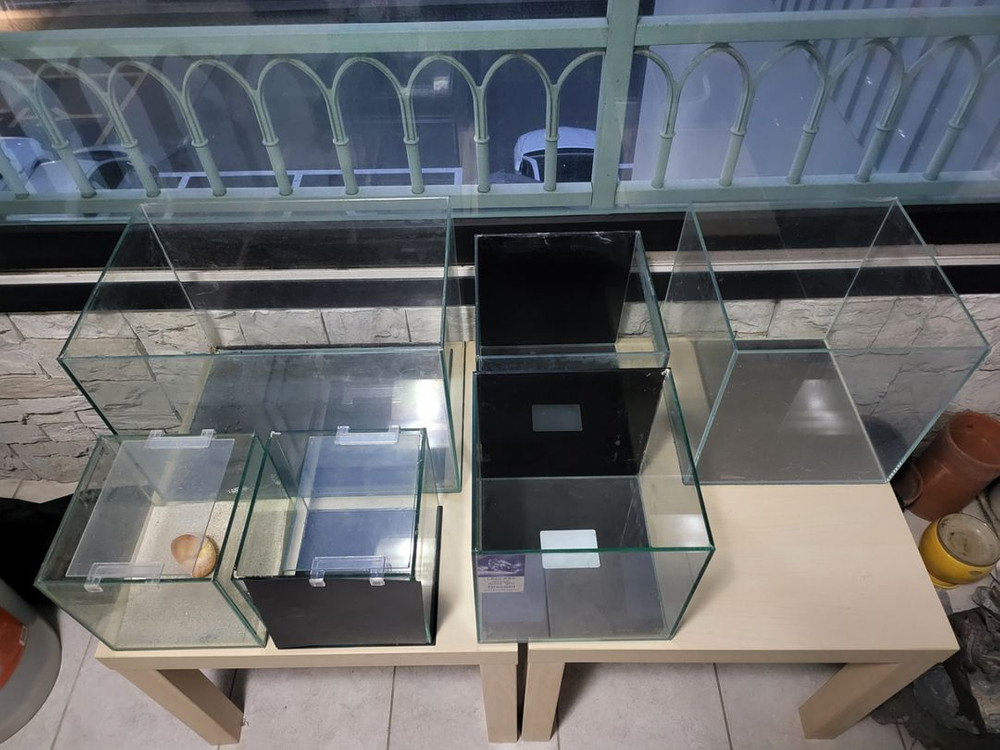 어항 및 용품 일체--1