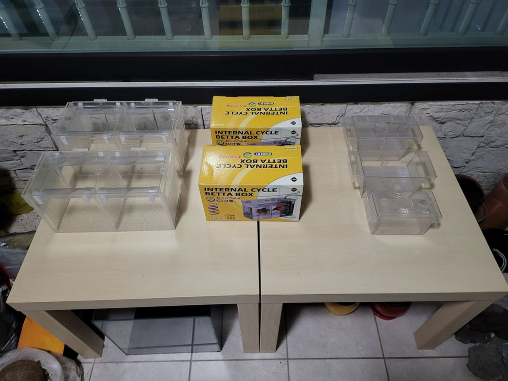 어항 및 용품 일체--4