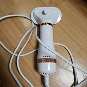 강아지 드라이빗