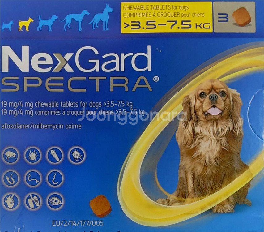 스펙트라 팔아요 (nexgard)--0