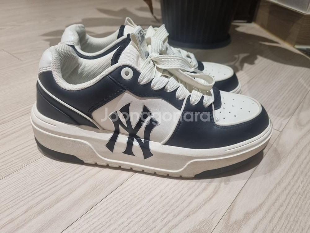 MLB 운동화 245사이즈--2