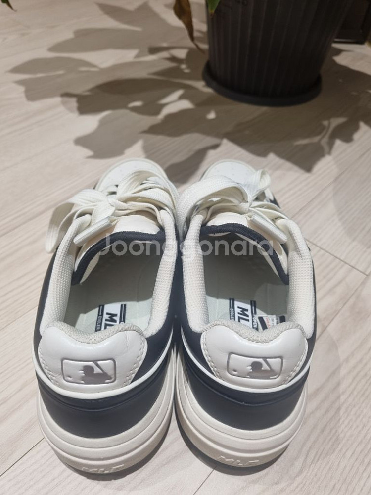 MLB 운동화 245사이즈--3