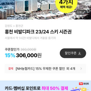 비발디파크 시즌권 삽니다