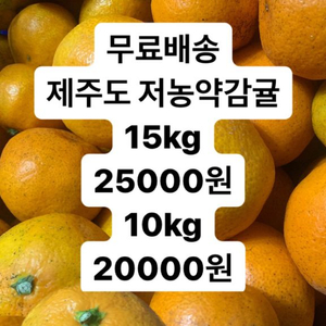 전국무료배송제주시 감귤 15kg