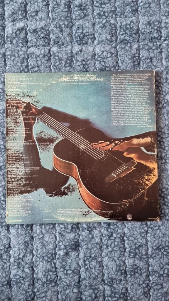Guitar player. LP 이미지