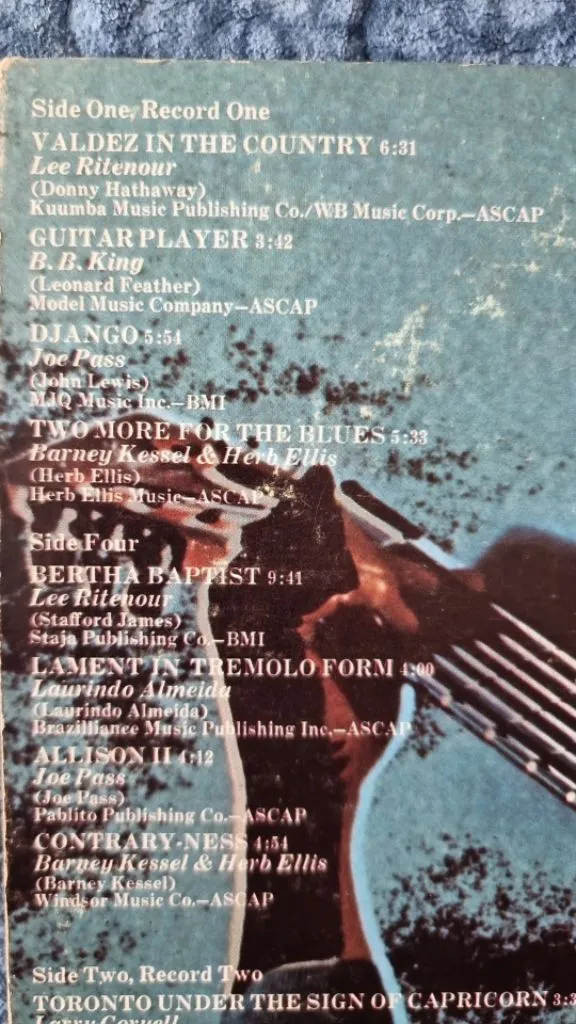 Guitar player. LP 이미지