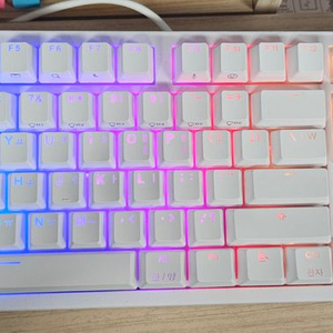 앱코 k995p 화이트 45g무접점 RGB PBT