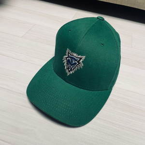 NBA 초록색 캡 모자