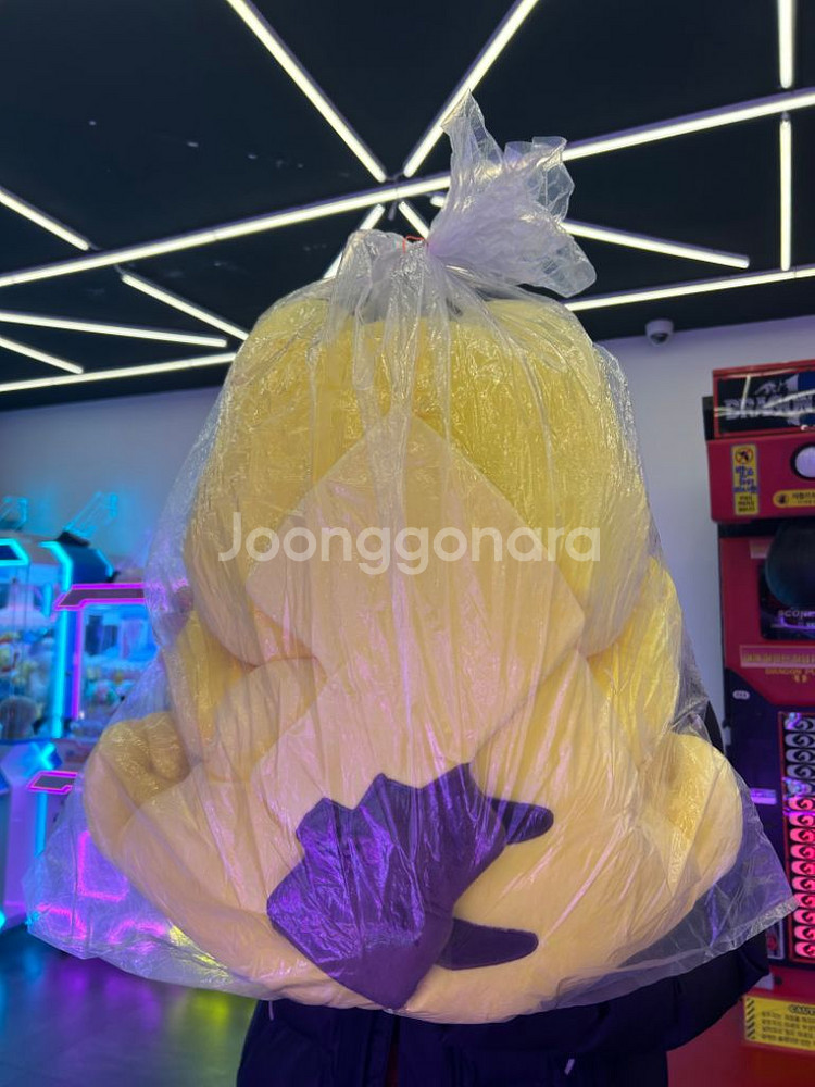 피카츄 대형 인형(50cm)--1