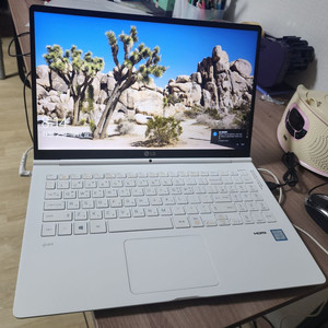 LG 그램 15.6인치 15ZB970-GP5PL 노트북