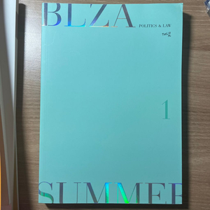 대성 정법 최여름 썸머 인강 교재 blza summer