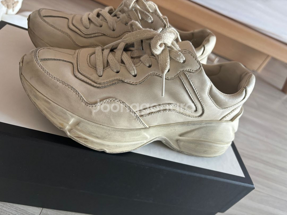 구찌 라이톤 더티 36--1