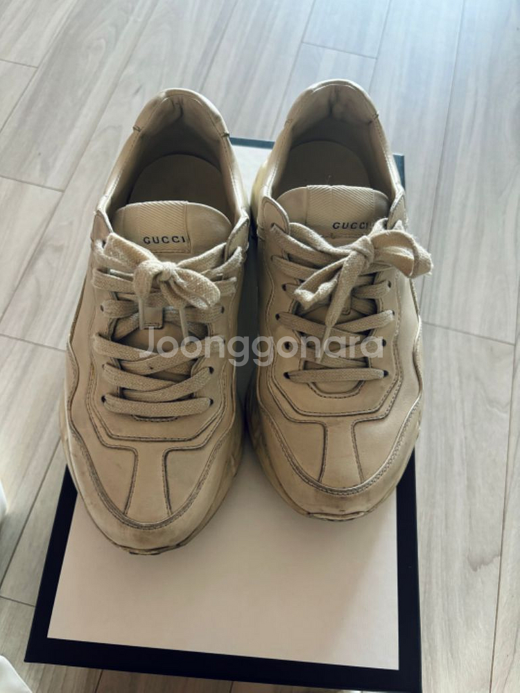 구찌 라이톤 더티 36--3