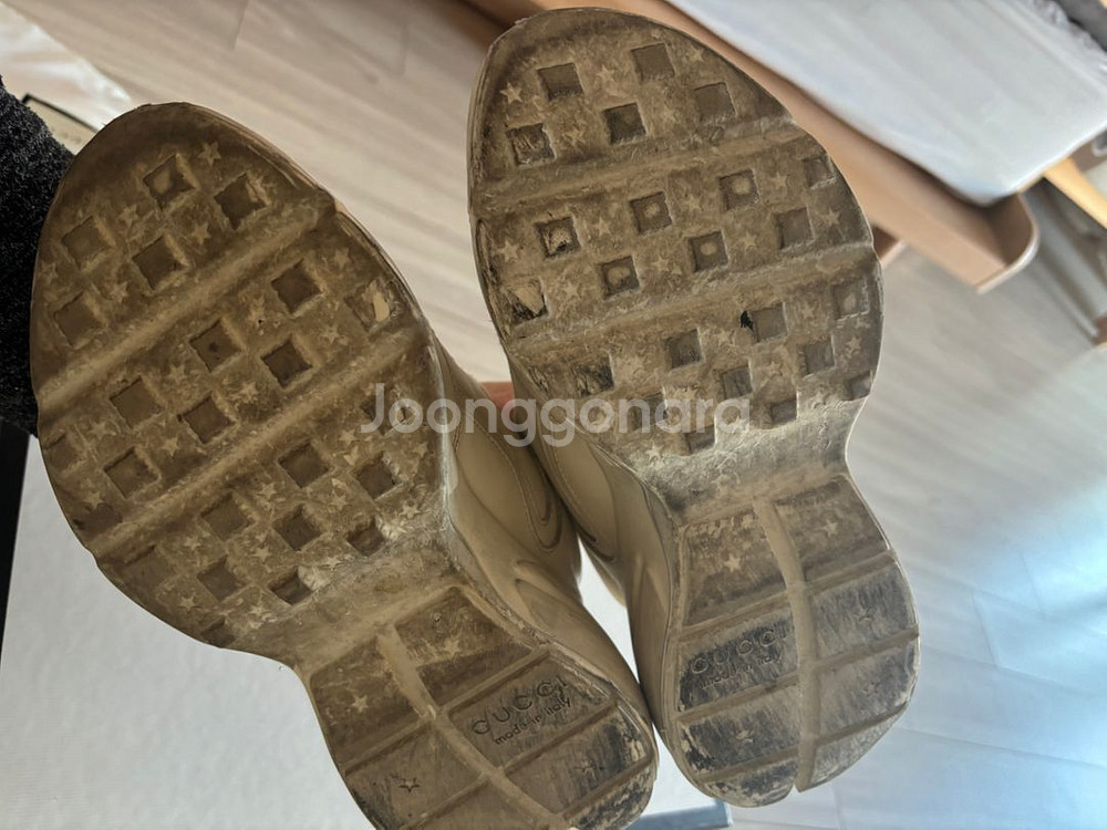 구찌 라이톤 더티 36--5