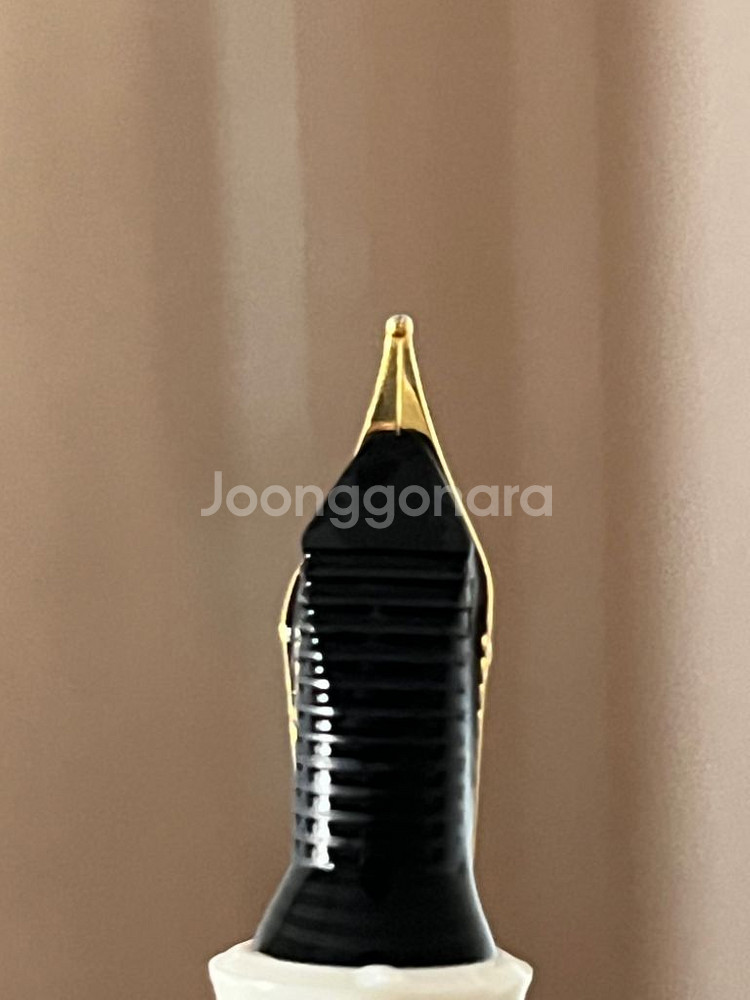 펠리칸m200 골드마블 f닙 팝니다--4