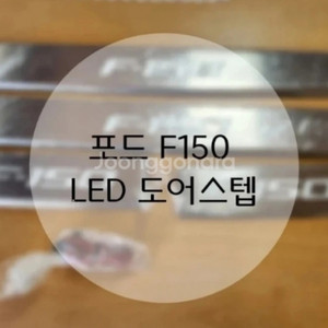 포드F150 LED 도어스텝
