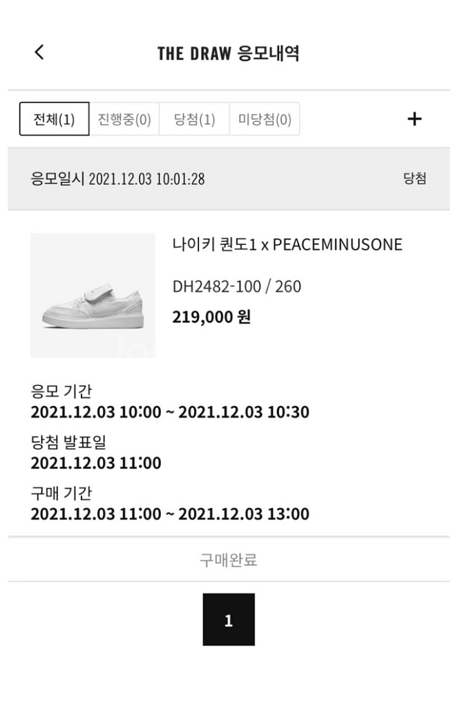 나이키 퀀도1 260--2