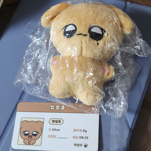박씽푸 판매합니다