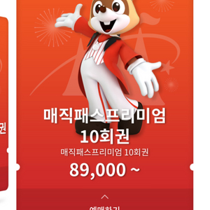 12월 25일 롯데월드 잠실 매직패스 10회권 2장 삼