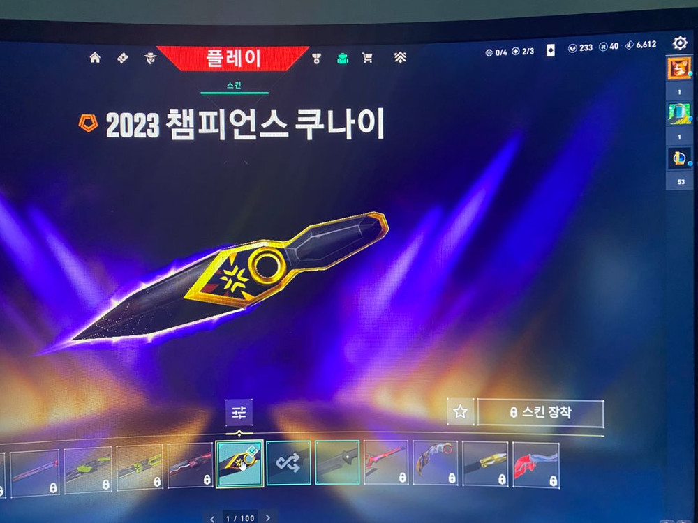 발로란트 2023 챔피언 세트 계정 판매 이미지