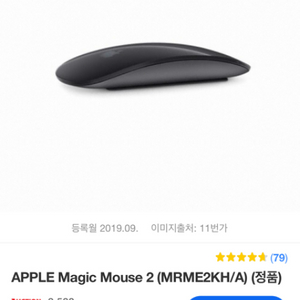 apple Magic Mouse / 매직 마우스2 스그