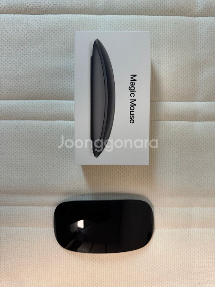 apple Magic Mouse / 매직 마우스2 스그--1