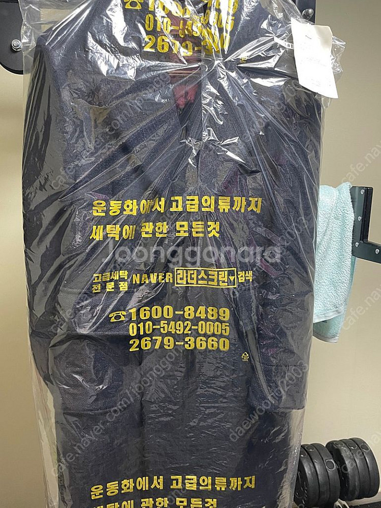 에스타도 로밧 글렌체크 폴로코트 50 판매--1