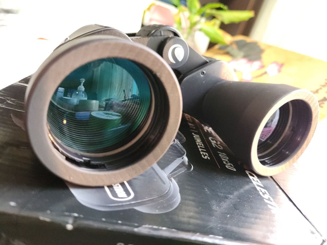 셀레스트론 업클로즈 g2 쌍안경 망원경 10x50 | 중고나라 - 안심되는 중고거래