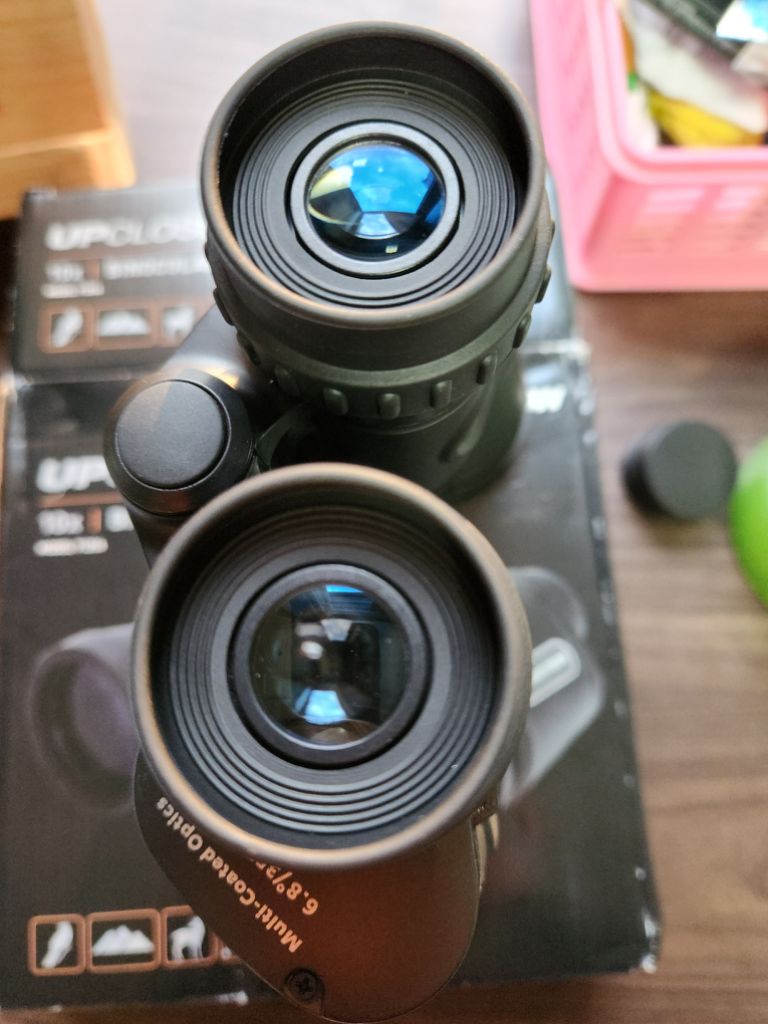 셀레스트론 업클로즈 g2 쌍안경 망원경 10x50 | 중고나라 - 안심되는 중고거래